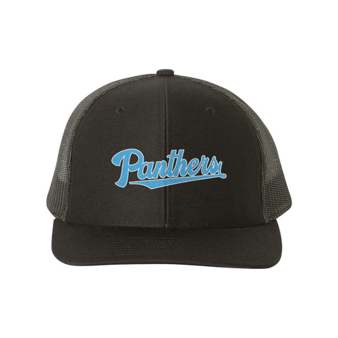 Script Panthers Embroidered Snapback Hat